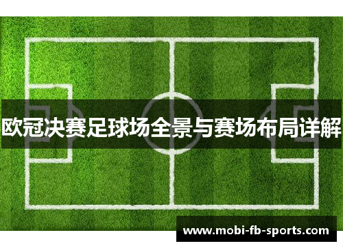 欧冠决赛足球场全景与赛场布局详解