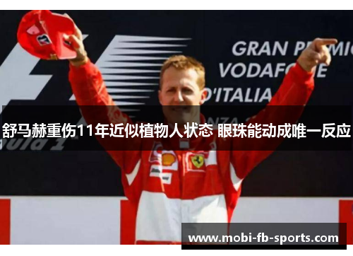 舒马赫重伤11年近似植物人状态 眼珠能动成唯一反应