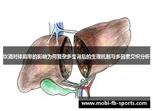 饮酒对体脂率的影响为何复杂多变背后的生理机制与多因素交织分析 饮酒对体脂率的影响为何复杂多变背后的生理机制与多因素交织分析