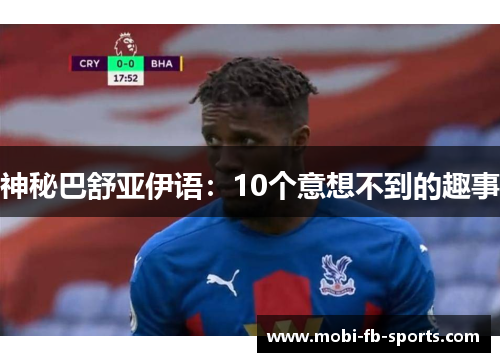 神秘巴舒亚伊语:10个意想不到的趣事 神秘巴舒亚伊语:10个意想不到的趣事