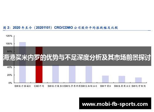 海港买米内罗的优势与不足深度分析及其市场前景探讨