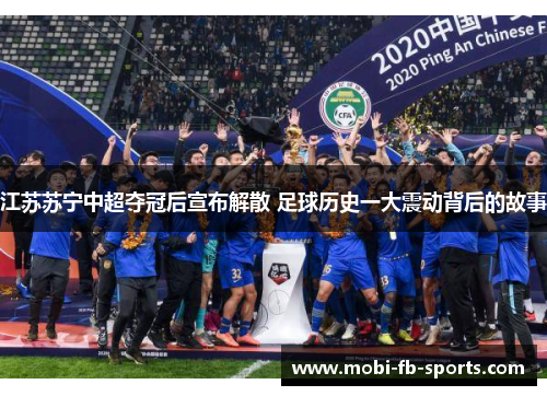 江苏苏宁中超夺冠后宣布解散 足球历史一大震动背后的故事